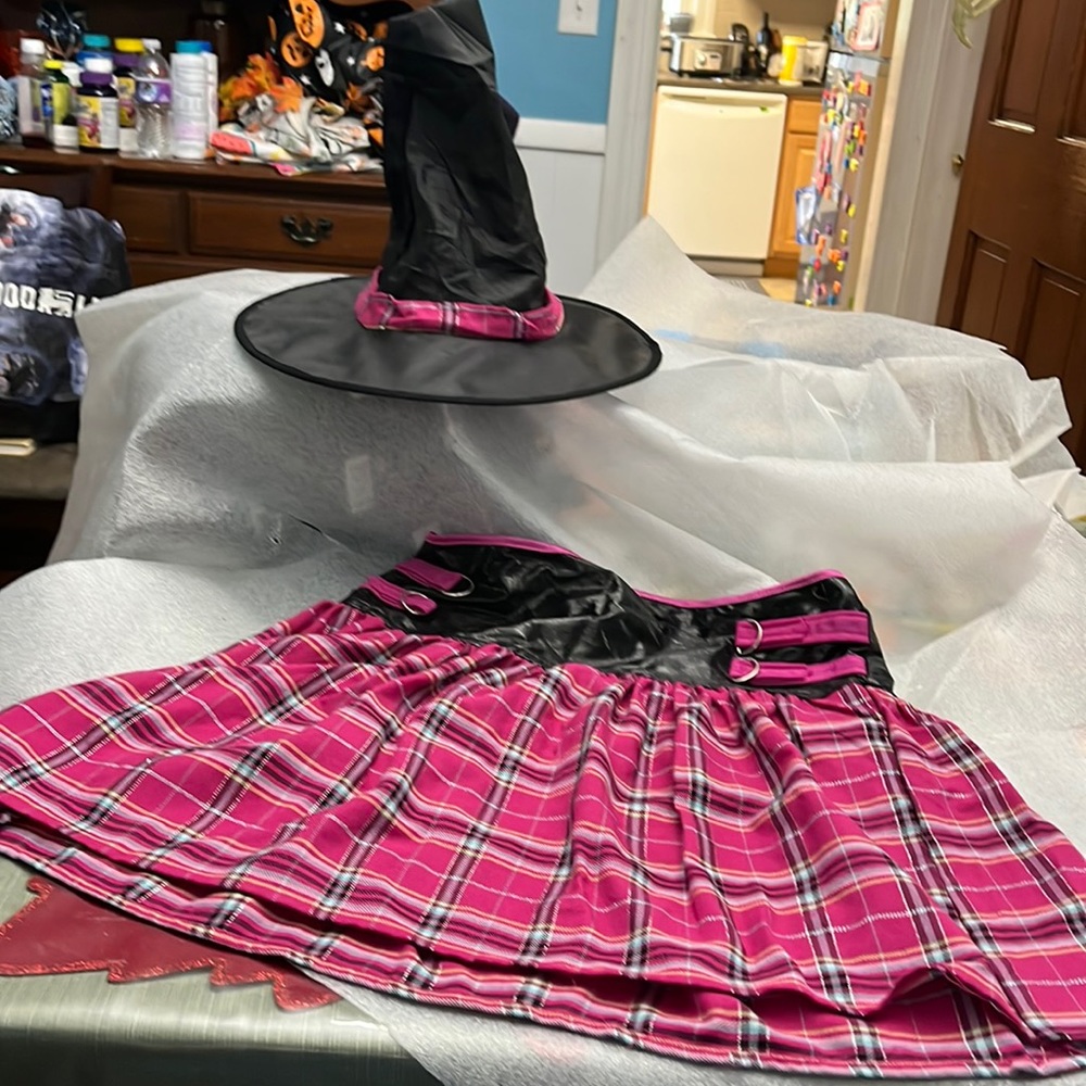Large Girl pink plaid witch skirt and hat